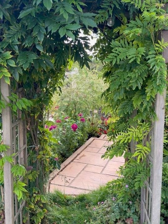 Wisteria-covered arch over a garden path