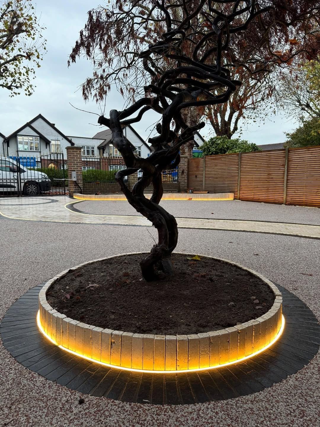 A twisted Corylus avellana 'Contorta' tree in a round limestone planter edged with glowing LED light, set into a resin driveway